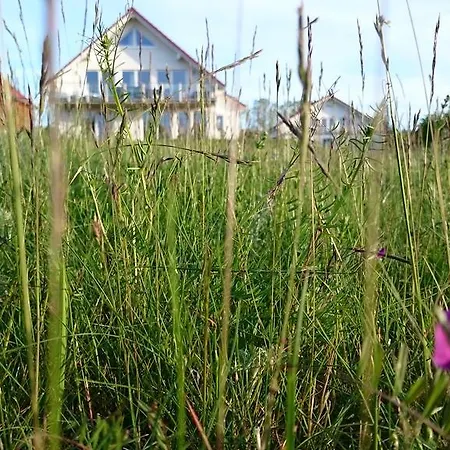 Apartment Vilzseehaus - Direkt Am See