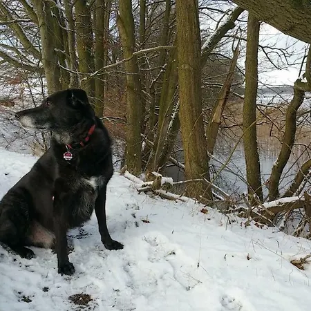 Vilzseehaus - Direkt Am See Diemitz (Mecklenburgische Seenplatte)